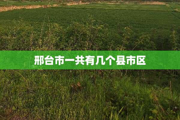 邢台市一共有几个县市区