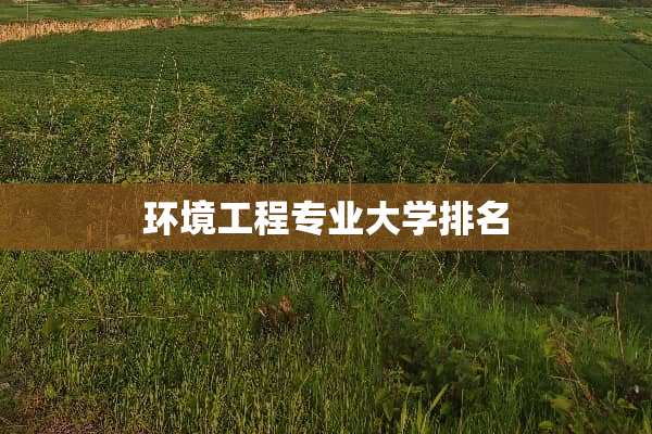 环境工程专业大学排名
