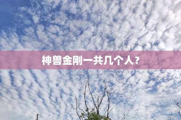 神兽金刚一共几个人？