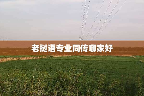 老挝语专业同传哪家好