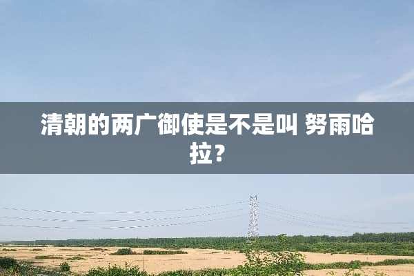 清朝的两广御使是不是叫 努雨哈拉？