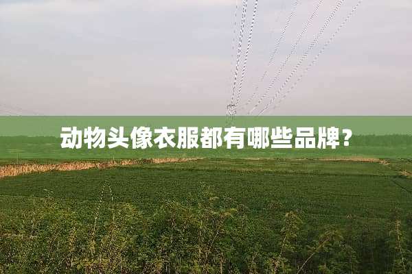 动物头像衣服都有哪些品牌？