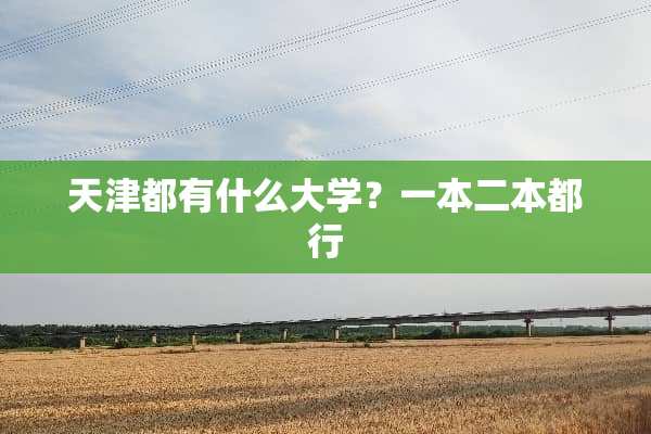 天津都有什么大学？一本二本都行