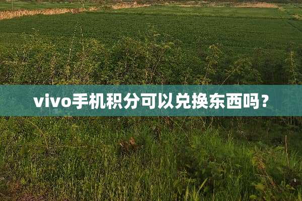 vivo手机积分可以兑换东西吗？