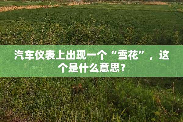 汽车仪表上出现一个“雪花”，这个是什么意思？