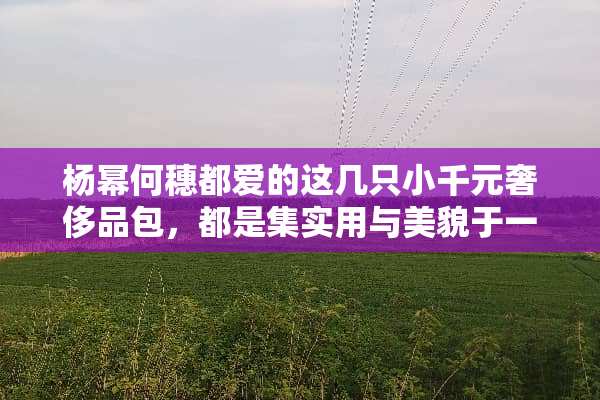 杨幂何穗都爱的这几只小千元奢侈品包，都是集实用与美貌于一体？