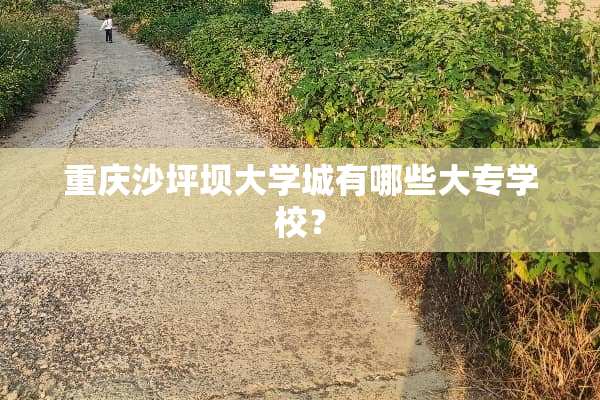 重庆沙坪坝大学城有哪些大专学校？