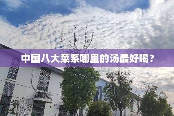 中国八大菜系哪里的汤最好喝？
