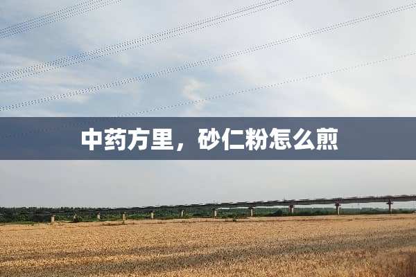 中药方里，砂仁粉怎么煎