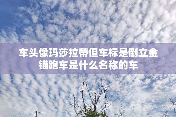 车头像玛莎拉蒂但车标是倒立金锚跑车是什么名称的车