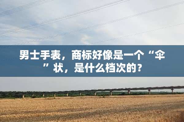 男士手表，商标好像是一个“伞”状，是什么档次的？