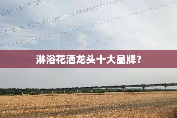 淋浴花洒龙头十大品牌？