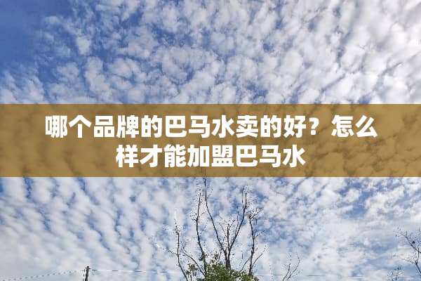 哪个品牌的巴马水卖的好？怎么样才能加盟巴马水