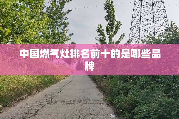 中国燃气灶排名前十的是哪些品牌