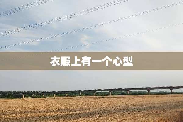 衣服上有一个心型