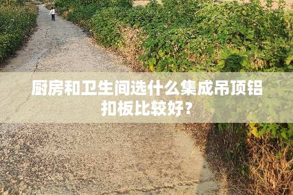 厨房和卫生间选什么集成吊顶铝扣板比较好？