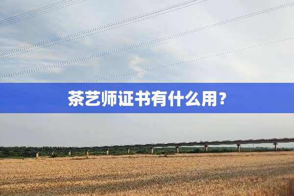 茶艺师证书有什么用？