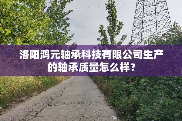 洛阳鸿元轴承科技有限公司生产的轴承质量怎么样？
