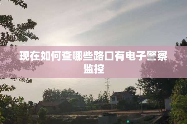 现在如何查哪些路口有电子**监控