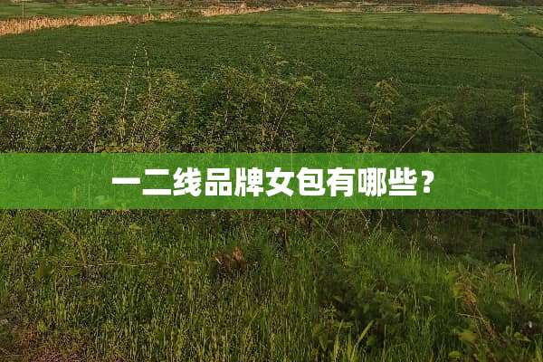 一二线品牌女包有哪些？