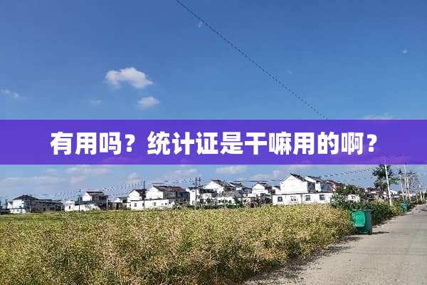 有用吗？统计证是干嘛用的啊？