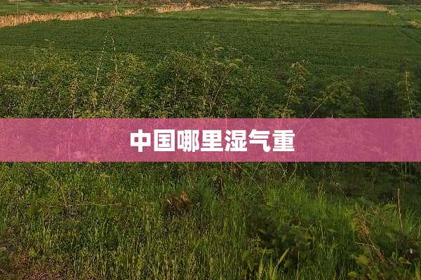 中国哪里湿气重