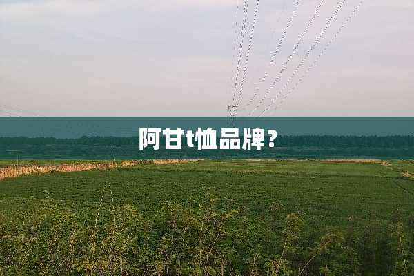 阿甘t恤品牌？