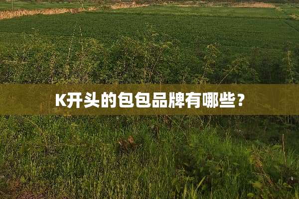 K开头的包包品牌有哪些？