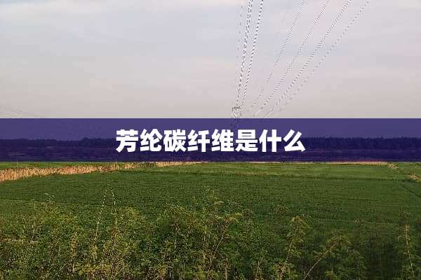 芳纶碳纤维是什么