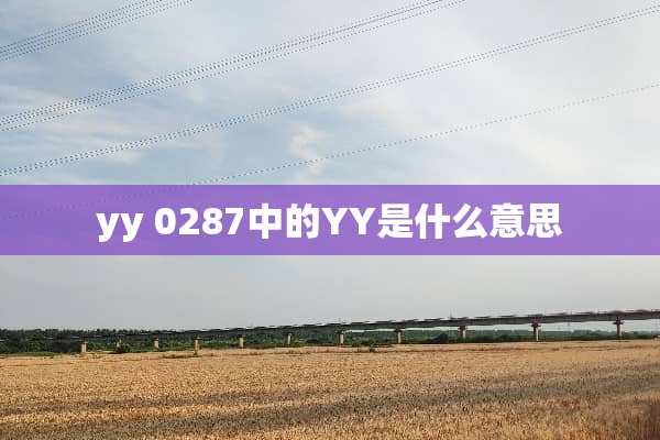 yy 0287中的YY是什么意思