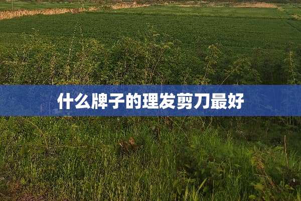 什么牌子的理发剪刀最好