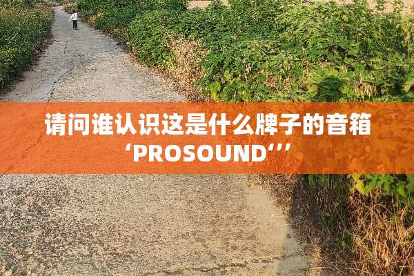 请问谁认识这是什么牌子的音箱‘PROSOUND‘’’