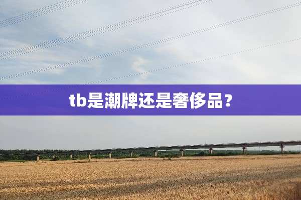 tb是潮牌还是奢侈品？