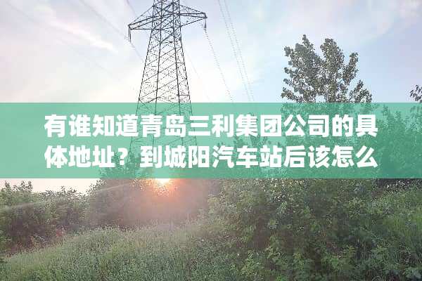 有谁知道青岛三利集团公司的具体地址？到城阳汽车站后该怎么走？(坐公交车路线)