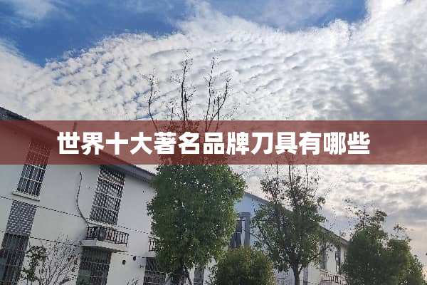 世界十大著名品牌**有哪些