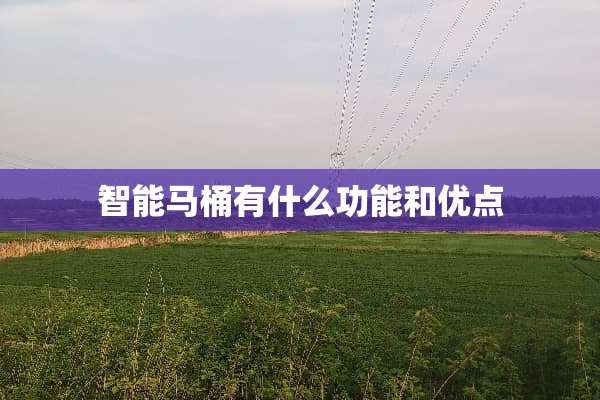 智能马桶有什么功能和优点
