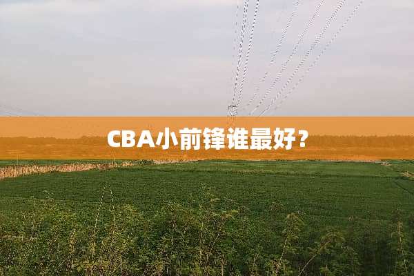 CBA小前锋谁最好？
