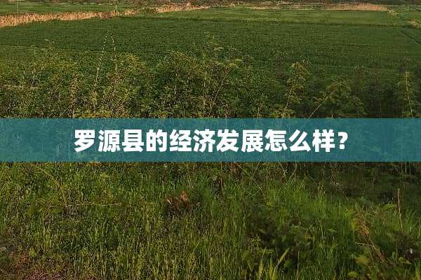 罗源县的经济发展怎么样？