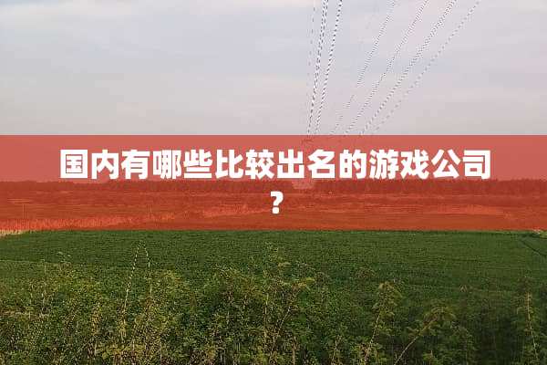 国内有哪些比较出名的游戏公司？