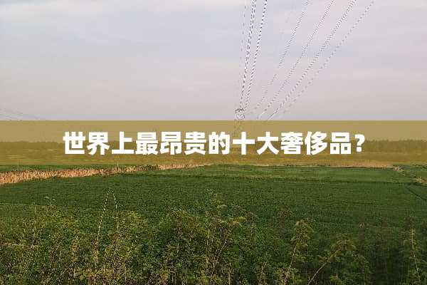 世界上最昂贵的十大奢侈品？