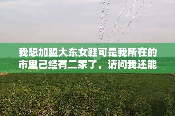 我想加盟大东女鞋可是我所在的市里己经有二家了，请问我还能加盟吗？