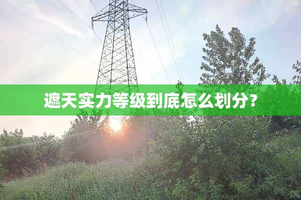 遮天实力等级到底怎么划分？