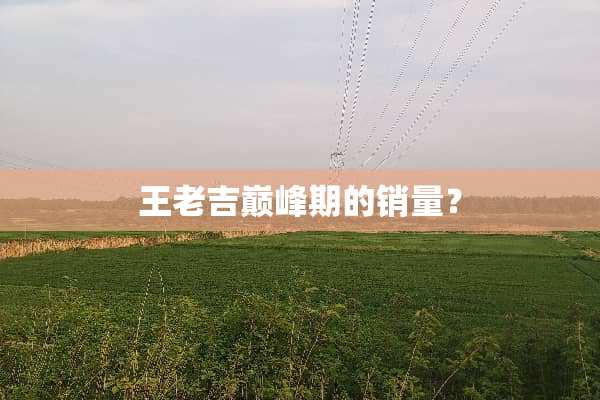 王老吉巅峰期的销量？