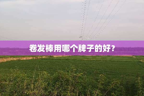 卷发棒用哪个牌子的好？