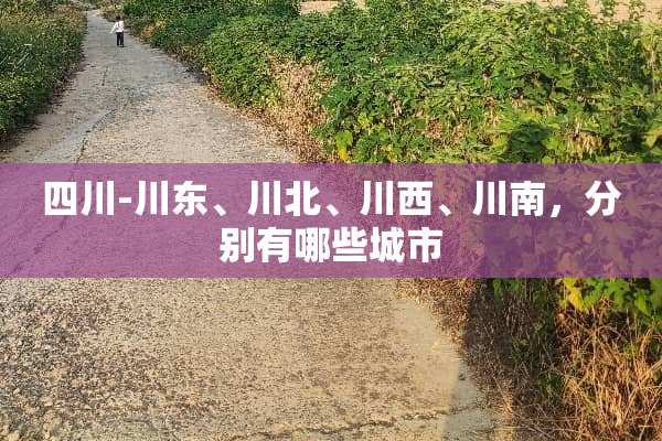四川-川东、川北、川西、川南，分别有哪些城市