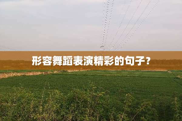 形容舞蹈表演精彩的句子？