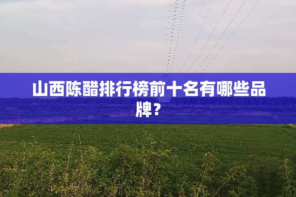 山西陈醋排行榜前十名有哪些品牌？