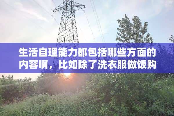 生活自理能力都包括哪些方面的内容啊，比如除了洗衣服做饭购物还有什么谢谢哈。