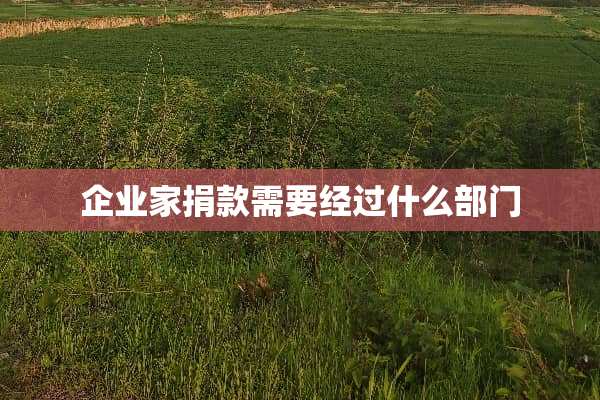 ***捐款需要经过什么部门