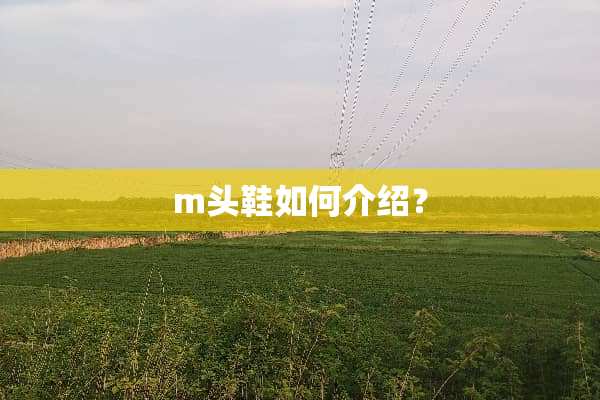 m头鞋如何介绍？